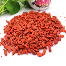 Goji Berry de cultivo orgânico na Mongólia Interior Estilo Seco Forma Redonda